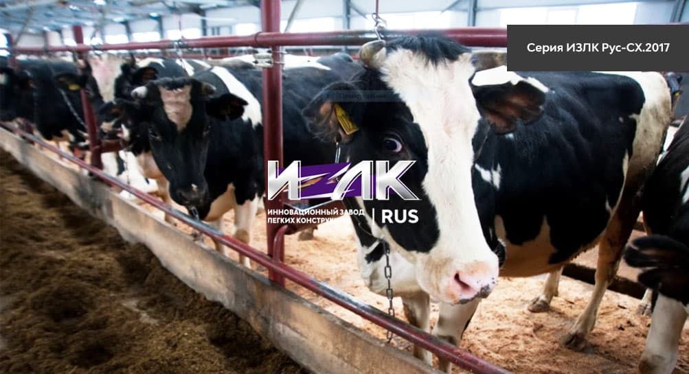 Основные виды коровников, эксплуатируемых животноводами Солнечногорска и региона